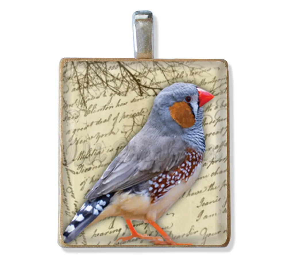 Pretty Bird Designs